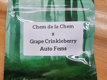 Sell: Chem de la Chem x Grape Crinkleberry - 10 AUTO FEMS