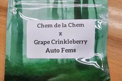 Venta: Chem de la Chem x Grape Crinkleberry - 10 AUTO FEMS