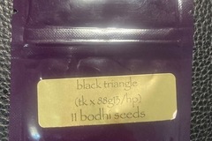 Sell: Black Triangle (Triangle Kush x 88G13HP) - Bodhi Seeds