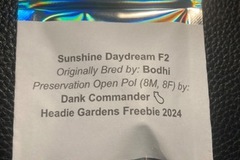 Subastas: Sunshine Daydream F2 10pk. - Dank Commander