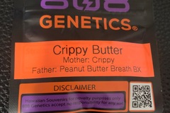 Subastas: Crippy Butter (Crippy x Peanut Butter Breath) - 808