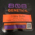 Subastas: Crippy Butter (Crippy x Peanut Butter Breath) - 808