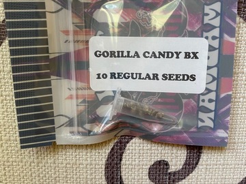 Vente: TIKI MADMAN - GORILLA CANDY BX