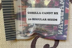 Sell: TIKI MADMAN - GORILLA CANDY BX