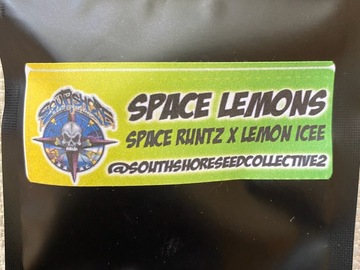 Vente: SPACE RUNTZ x LEMON ICEE