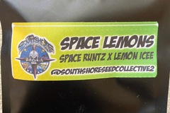 Venta: SPACE RUNTZ x LEMON ICEE