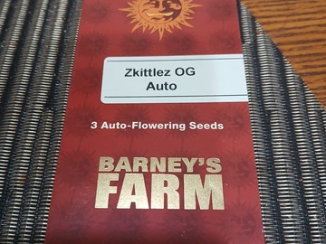 Vente: Zkittlez OG Auto Flowering Seeds- Barney's Farm