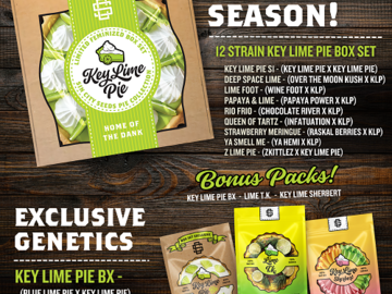 Venta: Key Lime Pie Boxset from Sin City