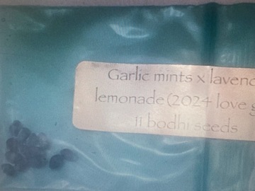 Auction: Garlic Mints x Lavender Lemonade - Bodhi Seeds