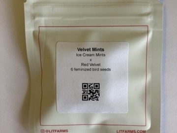 Subastas: (AUCTION) Velvet Mints from LIT Farms