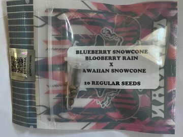 Venta: BlueBerry SnowCone from Tiki Madman