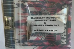 Vente: BlueBerry SnowCone from Tiki Madman