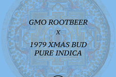 Venta: GMO Rootbeer x 1979 XMAS BUD Pure 