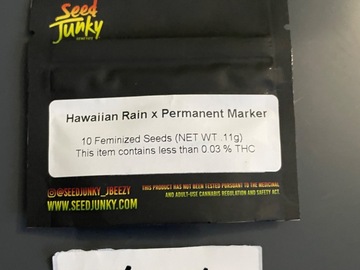 Vente: Hawaiian Rain x Permanent Marker-Seed Junky Genetics