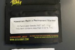 Sell: Hawaiian Rain x Permanent Marker-Seed Junky Genetics