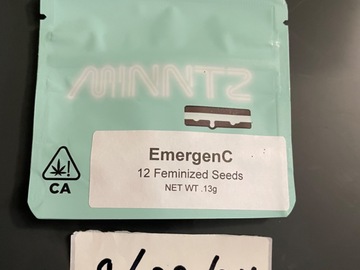 Vente: EmergenC- Seed Junky Genetics