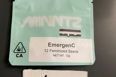 Vente: EmergenC- Seed Junky Genetics