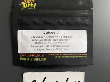 Vente: Juicee J- Seed Junky Genetics