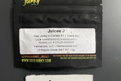 Venta: Juicee J- Seed Junky Genetics