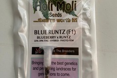 Vente: 6 FEMINIZED BLUE RUNTZ F1 SEEDS