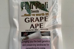 Vente: 6 FEMINIZED GRAPE APE SEEDS