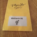 Vente: Mamiko Seeds- Matriarch OG