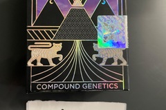 Sell: Strawberry Pave- Compound Genetics