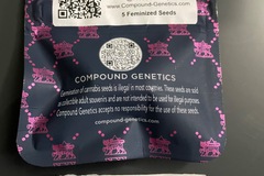 Sell: Red Bullz x ?????- Compound Genetics