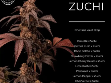 Vente: New Umami Zuchi Crosses