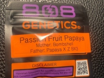 Auction: Passion Fruit Papaya (Bombshell x Papaya x ZBX3) - 808