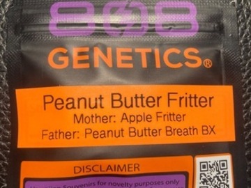 Auction: Peanut Butter Fritter (Apple Fritter x PBB BX) - 808