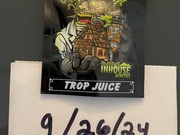 Venta: Trop Juice- In House Genetics