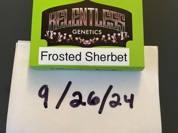 Venta: Relentless Genetics – Frosted Sherbert