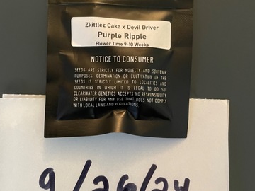 Venta: Purple Ripple-Clearwater Genetics