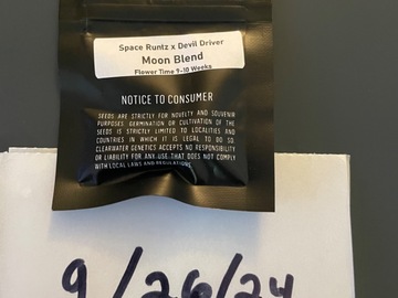 Venta: Moon Blend- Clearwater Genetics