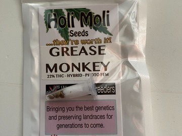 Vente: 6 FEMINIZED GREASE MONKEY SEEDS