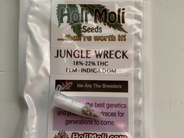 Sell: 6 FEMINIZED JUNGLE WRECK SEEDS