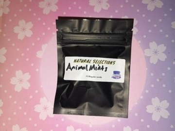 Enchères: *Auction* Animal Mints Natural Selections - Masonic Seed Co.