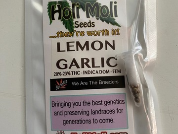 Verkaufen: ON SALE NOW!!! 6 FEMINIZED LEMON GARLIC SEEDS