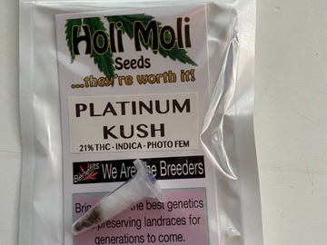 Venta: ON SALE NOW!!! 6 FEMINIZED PLATINUM KUSH SEEDS