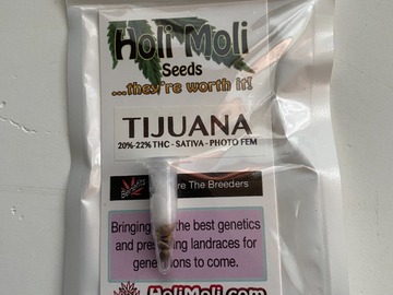 Venta: ON SALE NOW!!! 6 FEMINIZED TIJUANA SEEDS