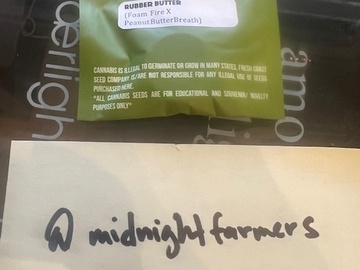Venta: Fresh Coast Seed Company - Rubber Butter