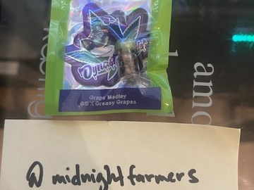 Venta: Dynasty Meds - Grape Medley (Gorilla Butter x Greasy Grapes)