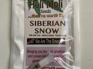 Sale: ON SALE NOW!!! 6 FEMINIZED SIBERIAN SNOW SEEDS