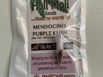 Sale: ON SALE NOW!!! 6 FEMINIZED MENDOCINO PURPLE KSUH SEEDS