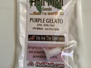 Sale: ON SALE NOW!!! 6 FEMINIZED PURPLE GELATO AUTOFLOWER SEEDS