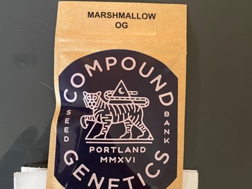 Sale: Marshmallow OG - Compound Genetics