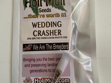 Sale: ON SALE NOW!!! 6 FEMINIZED WEDDING CRASHER SEEDS