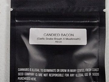 Venta: Fresh Coast Seed Co. - Candied Bacon