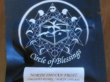 Venta: Strayfox Gardenz - North Indian Frost